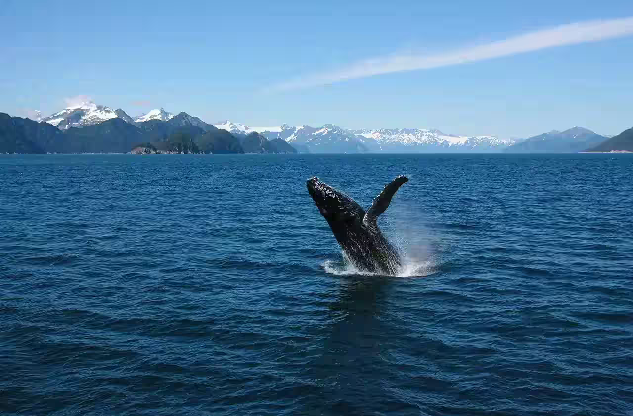 Alaska glacier