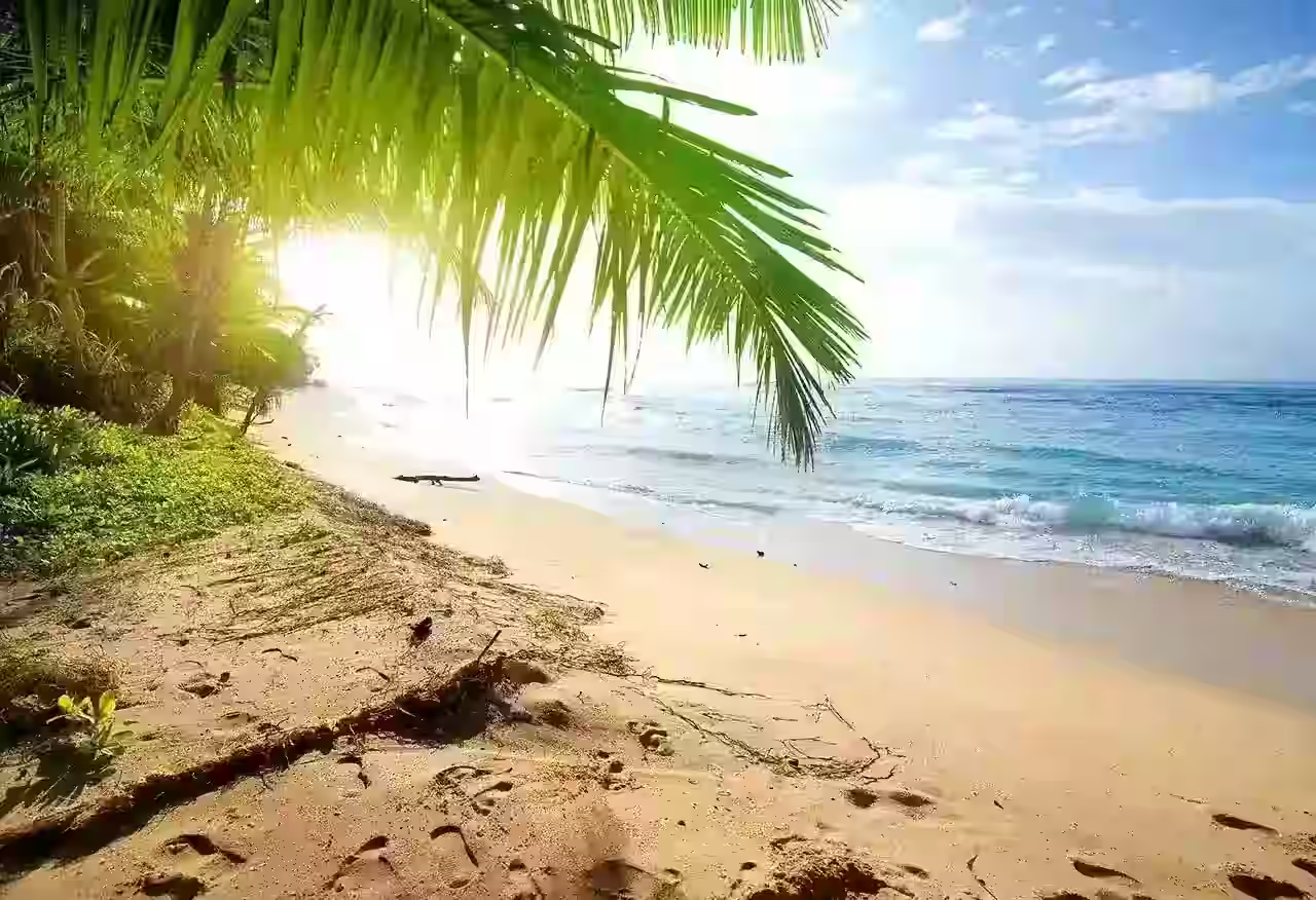 Tropical all-inclusive resort pool with ocean view